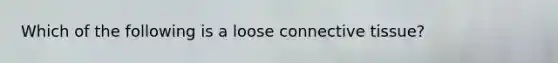 Which of the following is a loose connective tissue?