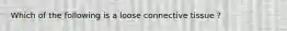 Which of the following is a loose connective tissue ?