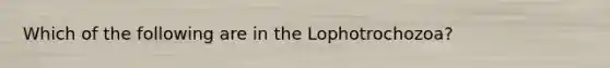 Which of the following are in the Lophotrochozoa?