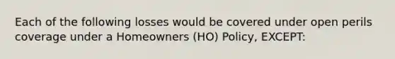 Each of the following losses would be covered under open perils coverage under a Homeowners (HO) Policy, EXCEPT: