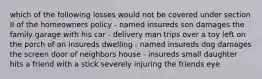 which of the following losses would not be covered under section II of the homeowners policy - named insureds son damages the family garage with his car - delivery man trips over a toy left on the porch of an insureds dwelling - named insureds dog damages the screen door of neighbors house - insureds small daughter hits a friend with a stick severely injuring the friends eye