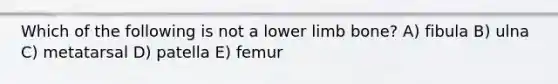 Which of the following is not a lower limb bone? A) fibula B) ulna C) metatarsal D) patella E) femur