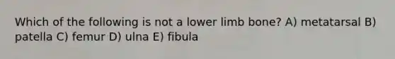 Which of the following is not a lower limb bone? A) metatarsal B) patella C) femur D) ulna E) fibula