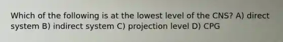 Which of the following is at the lowest level of the CNS? A) direct system B) indirect system C) projection level D) CPG