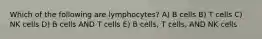 Which of the following are lymphocytes? A) B cells B) T cells C) NK cells D) B cells AND T cells E) B cells, T cells, AND NK cells