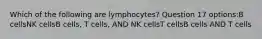 Which of the following are lymphocytes? Question 17 options:B cellsNK cellsB cells, T cells, AND NK cellsT cellsB cells AND T cells