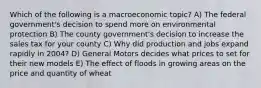 Which of the following is a macroeconomic topic? A) The federal government's decision to spend more on environmental protection B) The county government's decision to increase the sales tax for your county C) Why did production and jobs expand rapidly in 2004? D) General Motors decides what prices to set for their new models E) The effect of floods in growing areas on the price and quantity of wheat