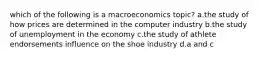 which of the following is a macroeconomics topic? a.the study of how prices are determined in the computer industry b.the study of unemployment in the economy c.the study of athlete endorsements influence on the shoe industry d.a and c