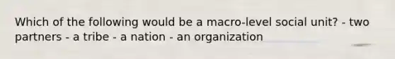 Which of the following would be a macro-level social unit? - two partners - a tribe - a nation - an organization