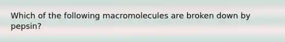 Which of the following macromolecules are broken down by pepsin?