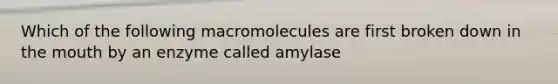 Which of the following macromolecules are first broken down in the mouth by an enzyme called amylase