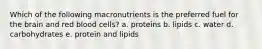 Which of the following macronutrients is the preferred fuel for the brain and red blood cells? a. proteins b. lipids c. water d. carbohydrates e. protein and lipids