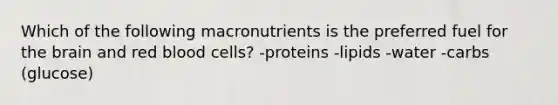 Which of the following macronutrients is the preferred fuel for the brain and red blood cells? -proteins -lipids -water -carbs (glucose)