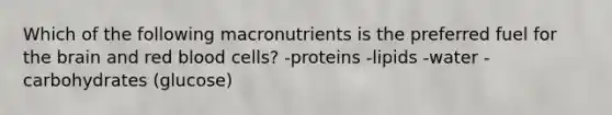 Which of the following macronutrients is the preferred fuel for the brain and red blood cells? -proteins -lipids -water -carbohydrates (glucose)