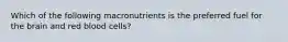 Which of the following macronutrients is the preferred fuel for the brain and red blood cells?