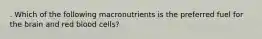 . Which of the following macronutrients is the preferred fuel for the brain and red blood cells?