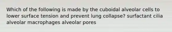 Which of the following is made by the cuboidal alveolar cells to lower surface tension and prevent lung collapse? surfactant cilia alveolar macrophages alveolar pores