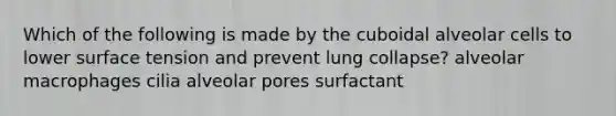 Which of the following is made by the cuboidal alveolar cells to lower surface tension and prevent lung collapse? alveolar macrophages cilia alveolar pores surfactant