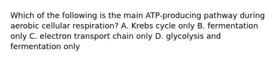 Which of the following is the main ATP-producing pathway during aerobic cellular respiration? A. Krebs cycle only B. fermentation only C. electron transport chain only D. glycolysis and fermentation only