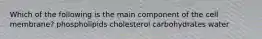 Which of the following is the main component of the cell membrane? phospholipids cholesterol carbohydrates water