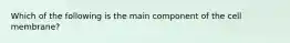 Which of the following is the main component of the cell membrane?