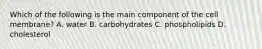 Which of the following is the main component of the cell membrane? A. water B. carbohydrates C. phospholipids D. cholesterol