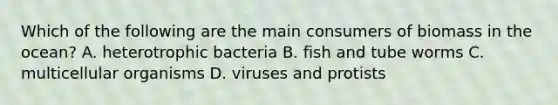 Which of the following are the main consumers of biomass in the ocean? A. heterotrophic bacteria B. fish and tube worms C. multicellular organisms D. viruses and protists