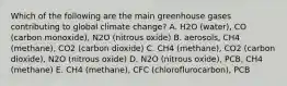 Which of the following are the main greenhouse gases contributing to global climate change? A. H2O (water), CO (carbon monoxide), N2O (nitrous oxide) B. aerosols, CH4 (methane), CO2 (carbon dioxide) C. CH4 (methane), CO2 (carbon dioxide), N2O (nitrous oxide) D. N2O (nitrous oxide), PCB, CH4 (methane) E. CH4 (methane), CFC (chloroflurocarbon), PCB