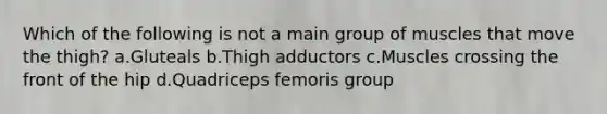 Which of the following is not a main group of muscles that move the thigh? a.Gluteals b.Thigh adductors c.Muscles crossing the front of the hip d.Quadriceps femoris group