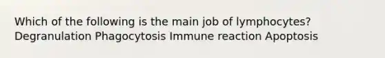 Which of the following is the main job of lymphocytes? Degranulation Phagocytosis Immune reaction Apoptosis