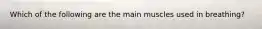Which of the following are the main muscles used in breathing?