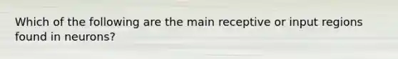 Which of the following are the main receptive or input regions found in neurons?