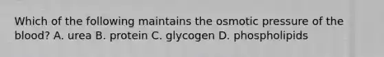 Which of the following maintains the osmotic pressure of <a href='https://www.questionai.com/knowledge/k7oXMfj7lk-the-blood' class='anchor-knowledge'>the blood</a>? A. urea B. protein C. glycogen D. phospholipids