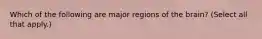 Which of the following are major regions of the brain? (Select all that apply.)