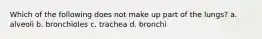 Which of the following does not make up part of the lungs? a. alveoli b. bronchioles c. trachea d. bronchi