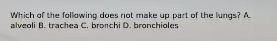 Which of the following does not make up part of the lungs? A. alveoli B. trachea C. bronchi D. bronchioles