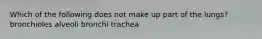 Which of the following does not make up part of the lungs? bronchioles alveoli bronchi trachea