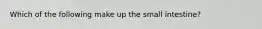 Which of the following make up the small intestine?
