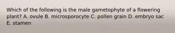 Which of the following is the male gametophyte of a flowering plant? A. ovule B. microsporocyte C. pollen grain D. embryo sac E. stamen