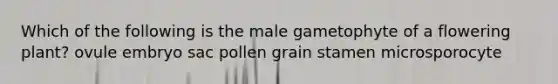 Which of the following is the male gametophyte of a flowering plant? ovule embryo sac pollen grain stamen microsporocyte