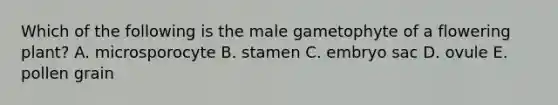 Which of the following is the male gametophyte of a flowering plant? A. microsporocyte B. stamen C. embryo sac D. ovule E. pollen grain