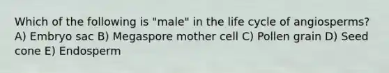 Which of the following is "male" in the life cycle of angiosperms? A) Embryo sac B) Megaspore mother cell C) Pollen grain D) Seed cone E) Endosperm