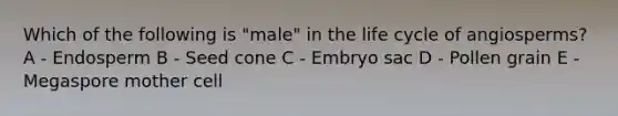 Which of the following is "male" in the life cycle of angiosperms? A - Endosperm B - Seed cone C - Embryo sac D - Pollen grain E - Megaspore mother cell