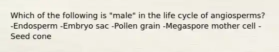 Which of the following is "male" in the life cycle of angiosperms? -Endosperm -Embryo sac -Pollen grain -Megaspore mother cell -Seed cone