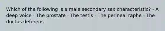 Which of the following is a male secondary sex characteristic? - A deep voice - The prostate - The testis - The perineal raphe - The ductus deferens