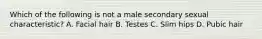 Which of the following is not a male secondary sexual characteristic? A. Facial hair B. Testes C. Slim hips D. Pubic hair