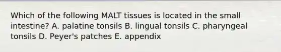 Which of the following MALT tissues is located in the small intestine? A. palatine tonsils B. lingual tonsils C. pharyngeal tonsils D. Peyer's patches E. appendix