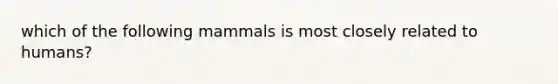 which of the following mammals is most closely related to humans?