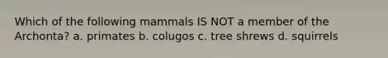 Which of the following mammals IS NOT a member of the Archonta? a. primates b. colugos c. tree shrews d. squirrels