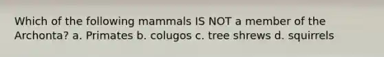 Which of the following mammals IS NOT a member of the Archonta? a. Primates b. colugos c. tree shrews d. squirrels